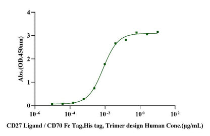 CD27 Ligand/CD70 Fc&His Tag Trimer design Protein, Human