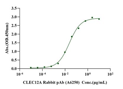 CLEC12A/MICL/CLL-1 Fc Chimera Protein, Human