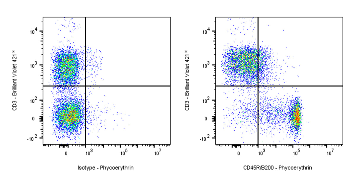 PE Rat Anti-Mouse CD45R/B220 Antibody (RA3-6B2)