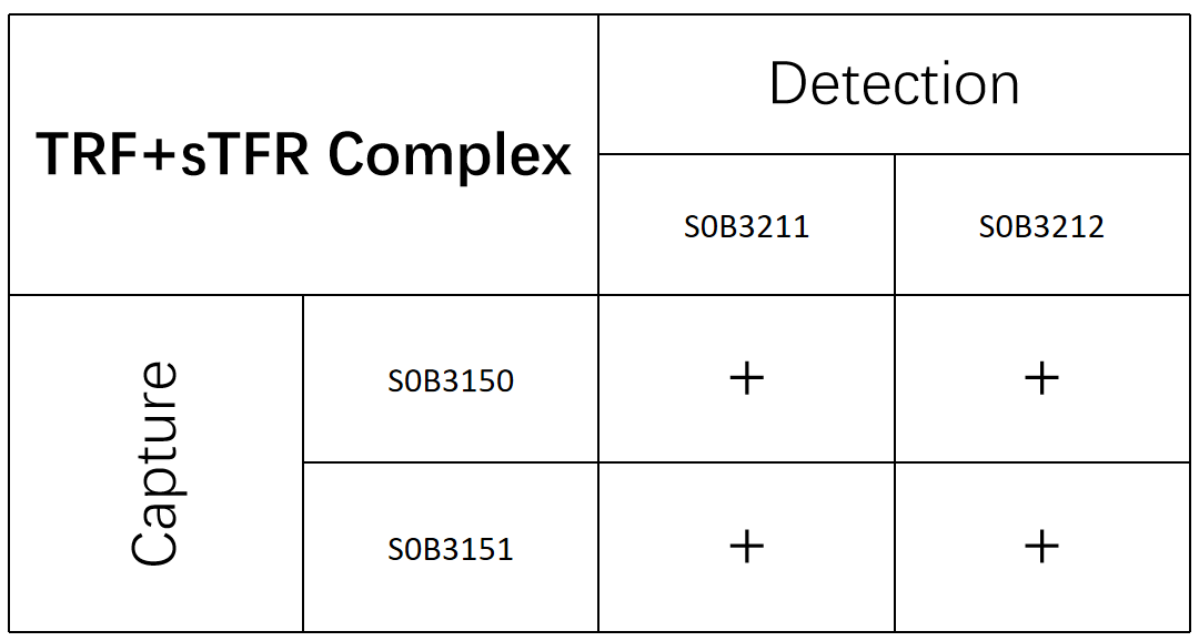 sTfR Recombinant Rabbit mAb (SDT-612-72)