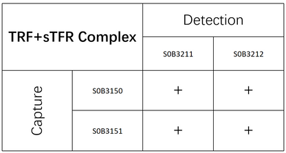 sTfR Recombinant Rabbit mAb (SDT-612-72)