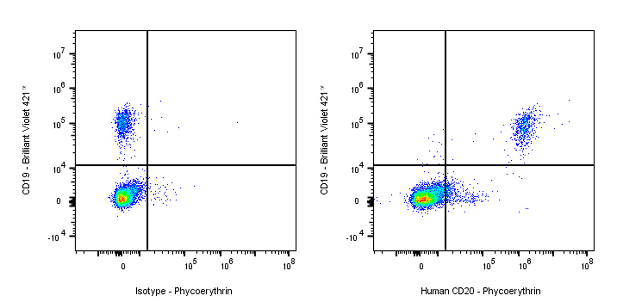 PE Mouse Anti-Human CD20 Antibody (2H7)