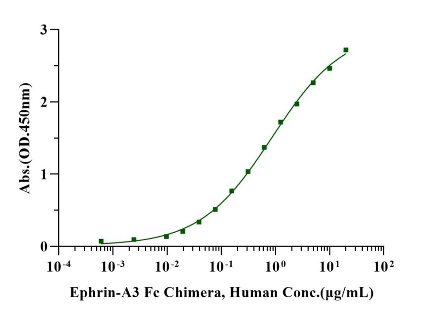 EphA6 His Tag Protein, Human