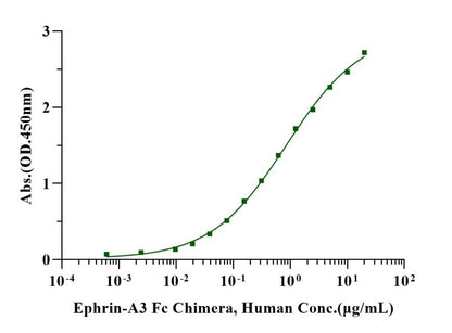 EphA6 His Tag Protein, Human