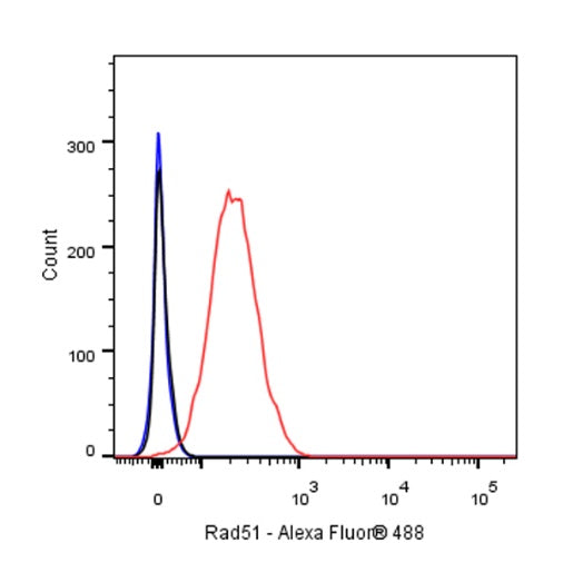 Rad51 Recombinant Rabbit mAb (S-R347)