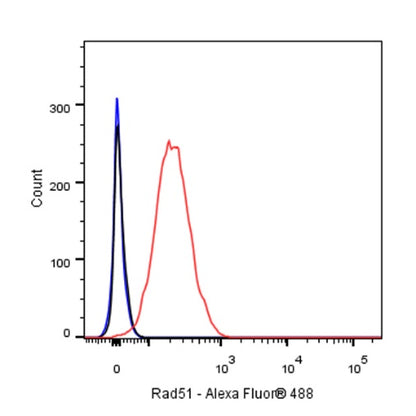 Rad51 Recombinant Rabbit mAb (S-R347)