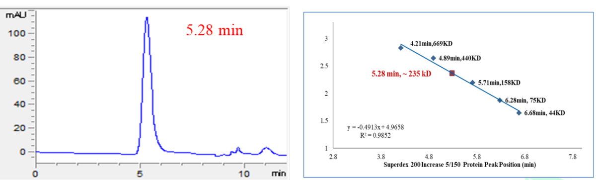 VRK1 GST Tag Protein, Human