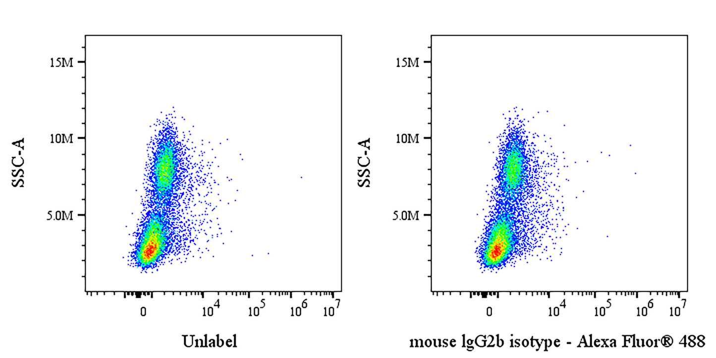 Invivo mouse IgG2b, κ isotype control