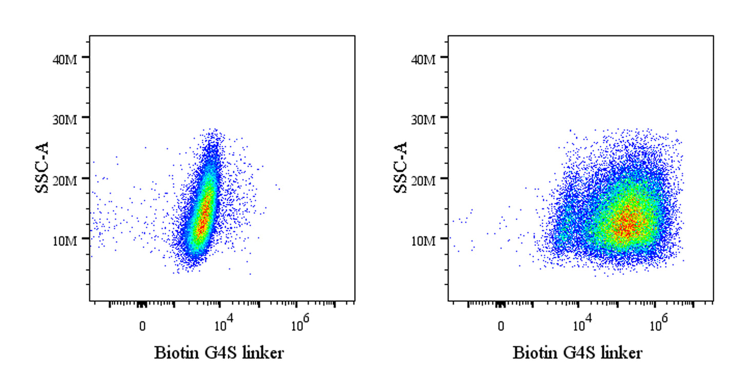 G4S linker Recombinant Rabbit mAb (Biotin Conjugate) (S-5030)