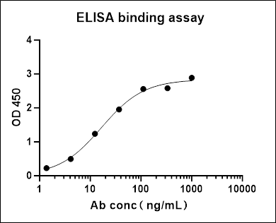 M13 phage Recombinant Rabbit mAb (S-1403-28)