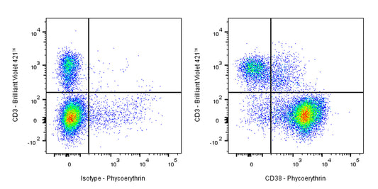 PE Rat Anti-Mouse CD38 Antibody (90)