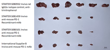Invivo anti-mouse PD-1 Recombinant mAb