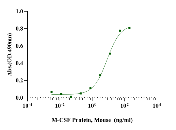 M-CSF Protein, Mouse