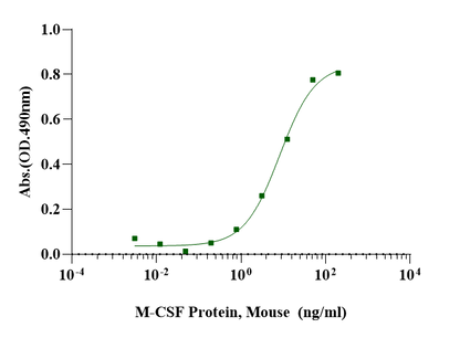 M-CSF Protein, Mouse