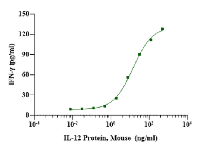 IL-12 Protein,Mouse