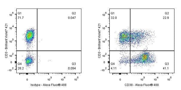 Mouse Anti-Human CD38 Antibody (HB7)