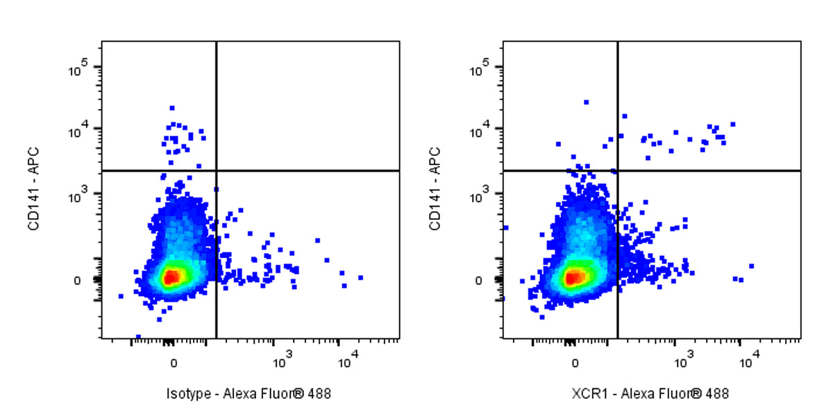 Rat Anti-Human XCR1 Antibody (S-3294)