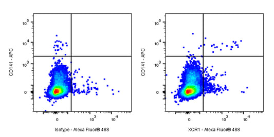 Rat Anti-Human XCR1 Antibody (S-3294)