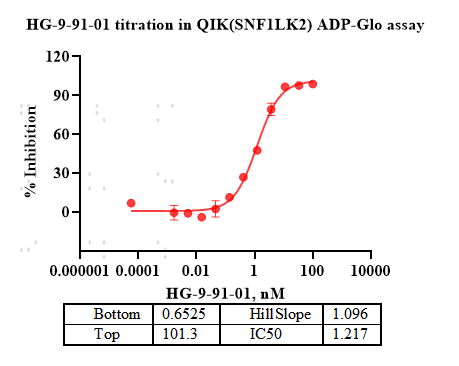 SIK2 GST&Strep II Tag Protein, Human