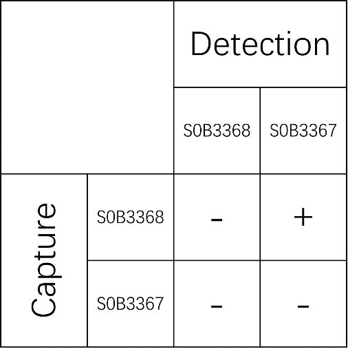 PlGF Recombinant Mouse mAb (SDT-R365)