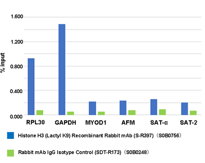 Histone H3 (Lactyl K9) Recombinant Rabbit mAb (S-R397)