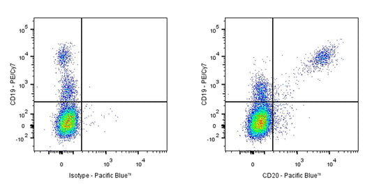 Pacific Blue Mouse Anti-Human CD20 Antibody (2H7)