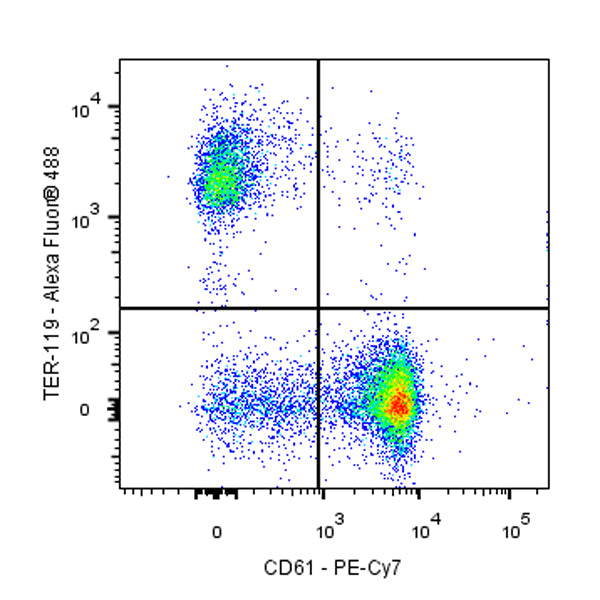 PE-Cy7 Armenian hamster Anti-Mouse/Rat CD61 Antibody (2C9.G2)