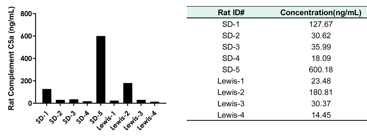 Rat Complement C5a OneStep competitive ELISA Kit