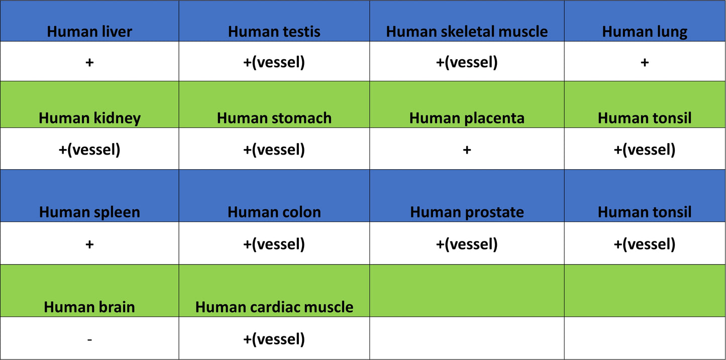 Apolipoprotein CIII Recombinant Rabbit mAb (S-5408)