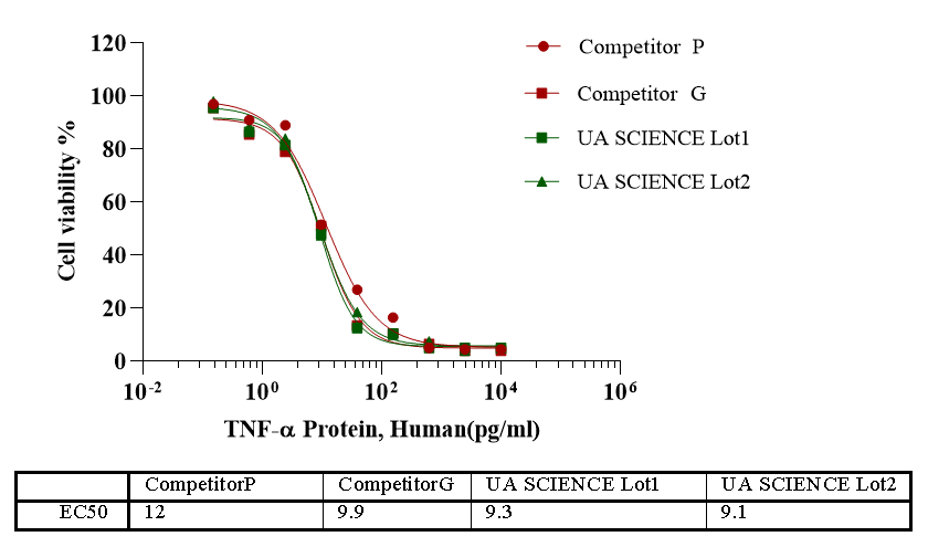 TNF-α Protein, Human