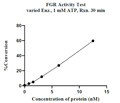 FGR GST Tag Protein, Human