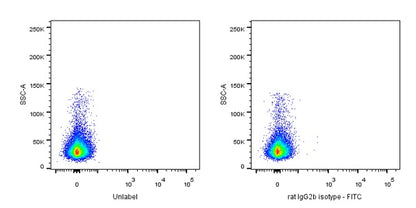 FITC Rat IgG2b Isotype Control (S-R486)