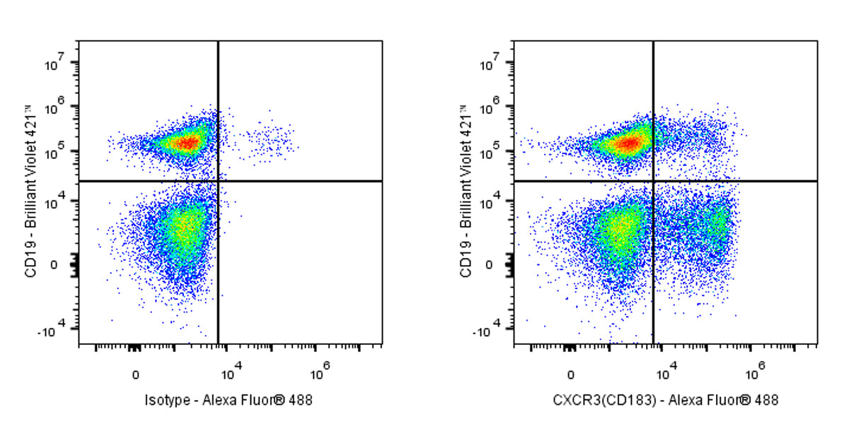 Armenian hamster Anti-Mouse CD183 Antibody (CXCR3-173)