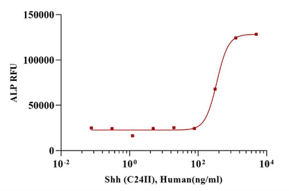 Shh (C24II) Protein, Human