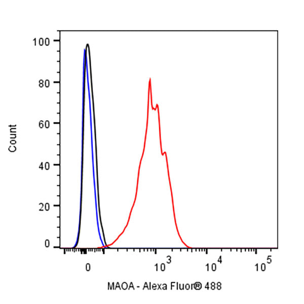 MAOA Rabbit Polyclonal Antibody