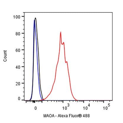 MAOA Rabbit Polyclonal Antibody