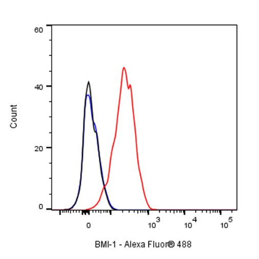 BMI-1 Recombinant Rabbit mAb (S-1075-252)