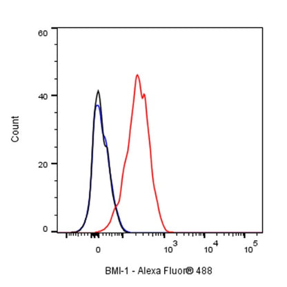 BMI-1 Recombinant Rabbit mAb (S-1075-252)