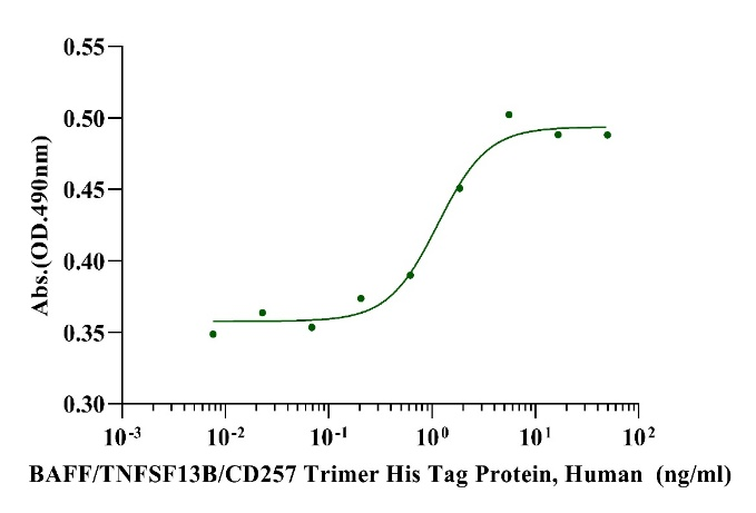 BAFF/TNFSF13B/CD257 Trimer His Tag Protein, Human