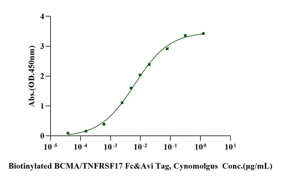Biotinylated BCMA/TNFRSF17 Fc&Avi Tag Protein, Cynomolgus