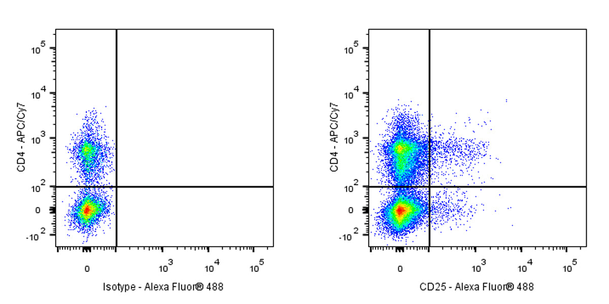 Alexa Fluor® 488 Mouse Anti-Rat CD25 Antibody (OX-39)