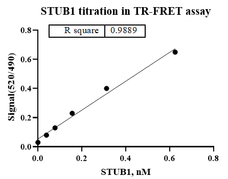 Biotin-STUB1 Avi&His Tag Protein,Human