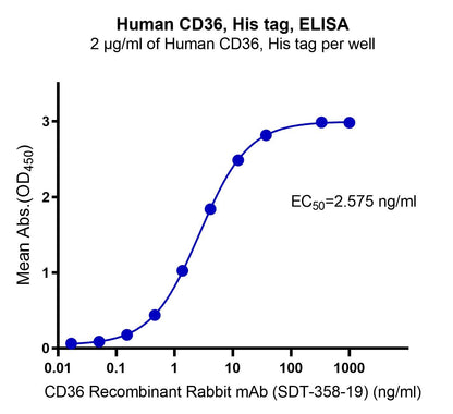 Human CD36, His tag
