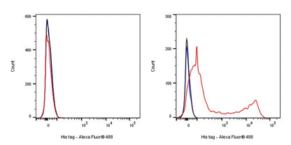 His tag (C-terminal) Recombinant Rabbit mAb (Alexa Fluor® 488 Conjugate) (S-1398-10)