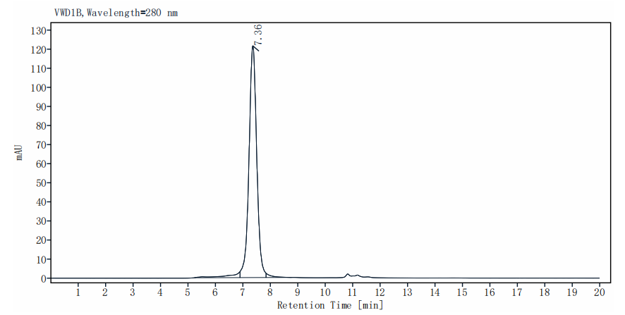 Biotinylated CD27 Ligand/CD70 Fc&His&Avi Trimer design Protein, Human