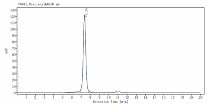Biotinylated CD27 Ligand/CD70 Fc&His&Avi Trimer design Protein, Human
