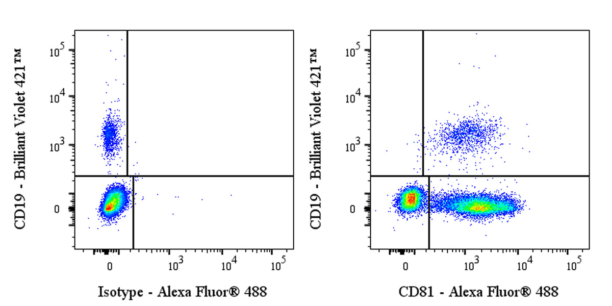 Alexa Fluor® 488 Mouse Anti-Human CD81 Antibody (S-5594)