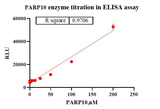 PARP10 Flag&His Tag Protein, Human