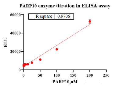 PARP10 Flag&His Tag Protein, Human