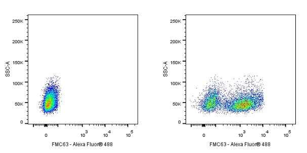 FMC63 Recombinant Rabbit mAb (S-2163-77)